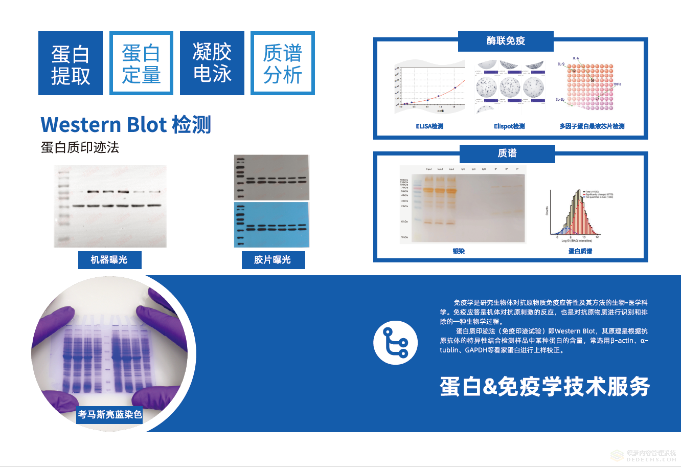 Snipaste_2023-09-27_10-35-36.png
